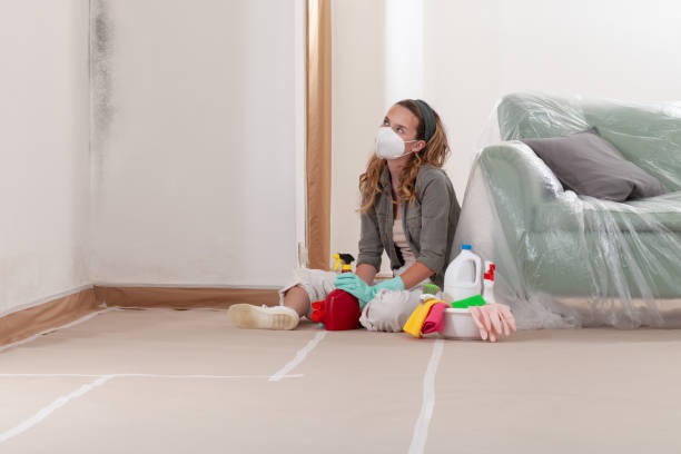 Reliable Mold Removal contractor in Hopewell, VA by WQB Mold Removal